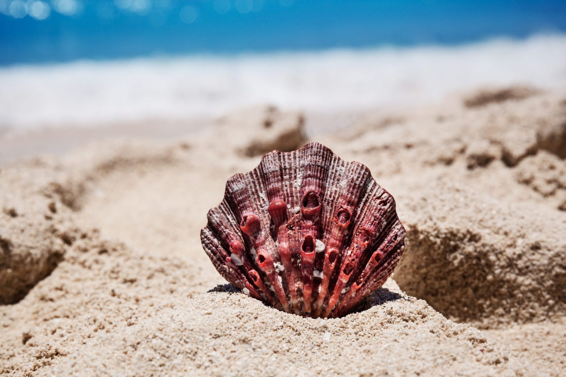 Playa Destiladeras: ¿Cómo Llegar y Qué Hacer? | ETN