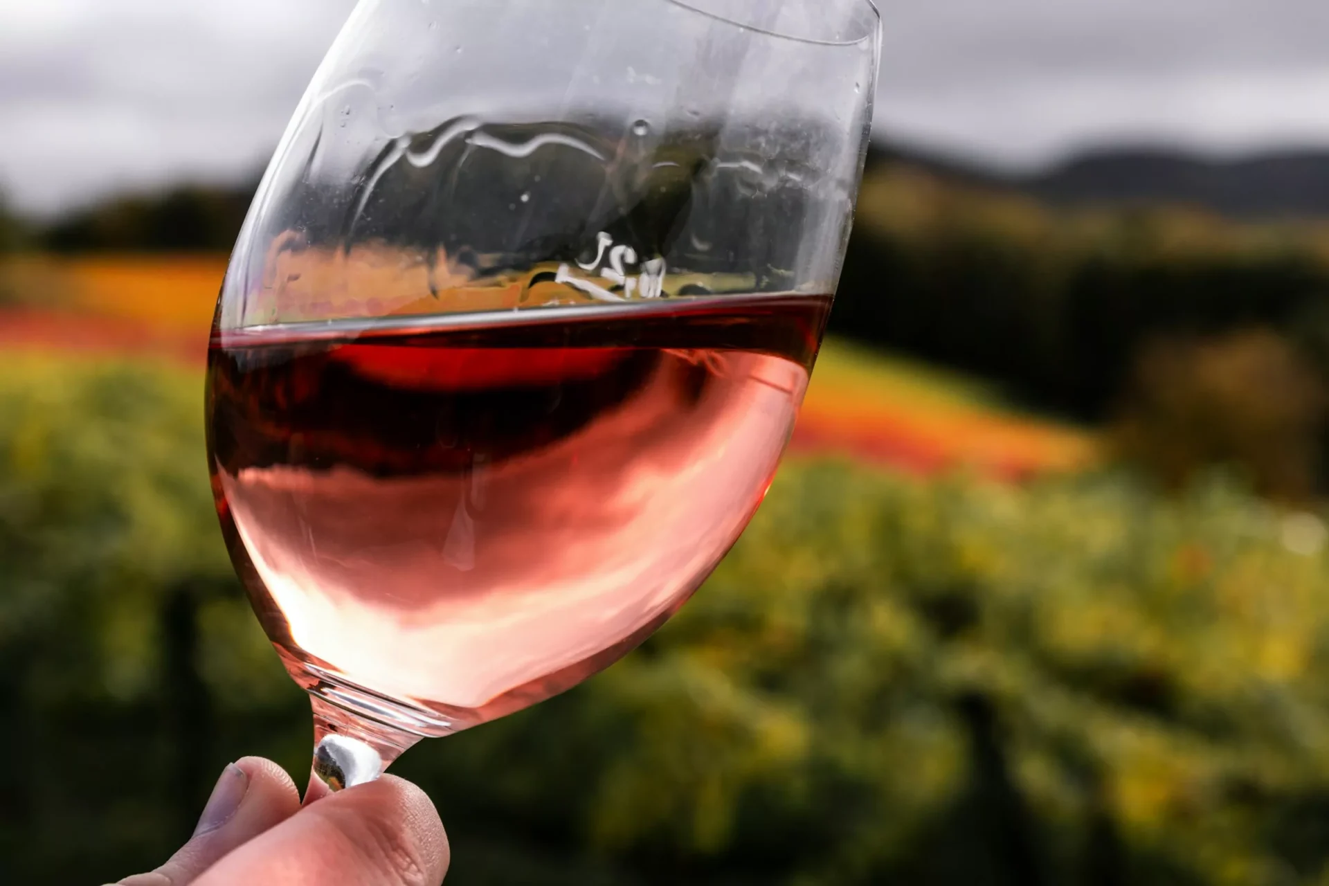 Festival Internacional del Vino