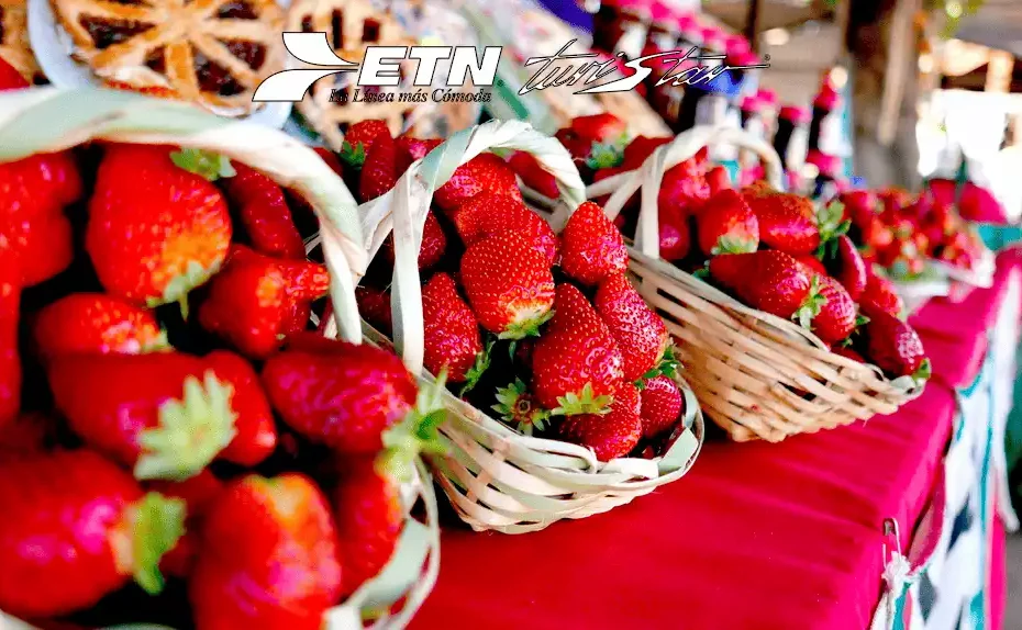 Feria de las Fresas