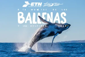 Día Mundial de las Ballenas y los Delfines 2025