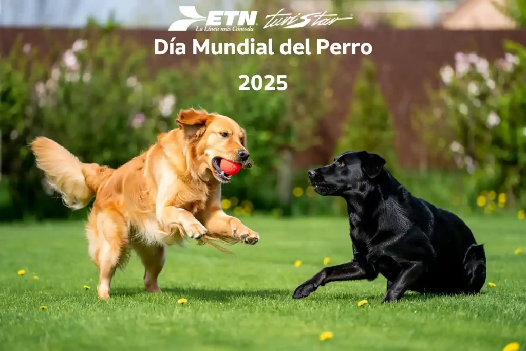 dia-mundial-del-perro-2025