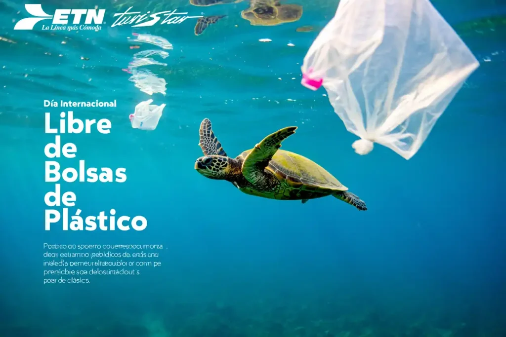 libre-de-bolsas2025