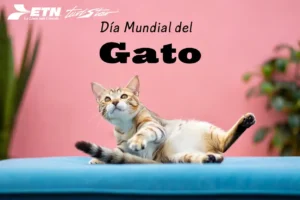 dia-mundial-del-gato-2025