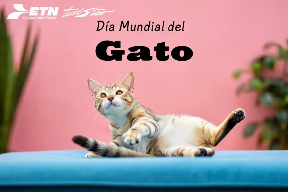 dia-mundial-del-gato-2025