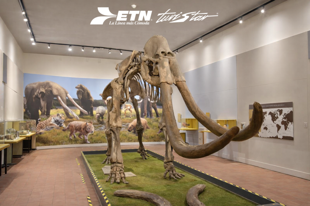 museos-gdl