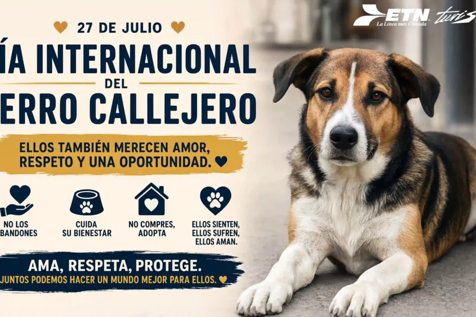 dia-del-perro-callejero
