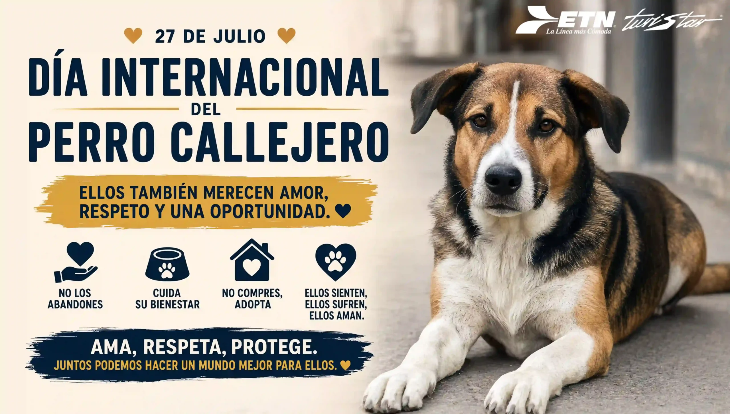 dia-del-perro-callejero