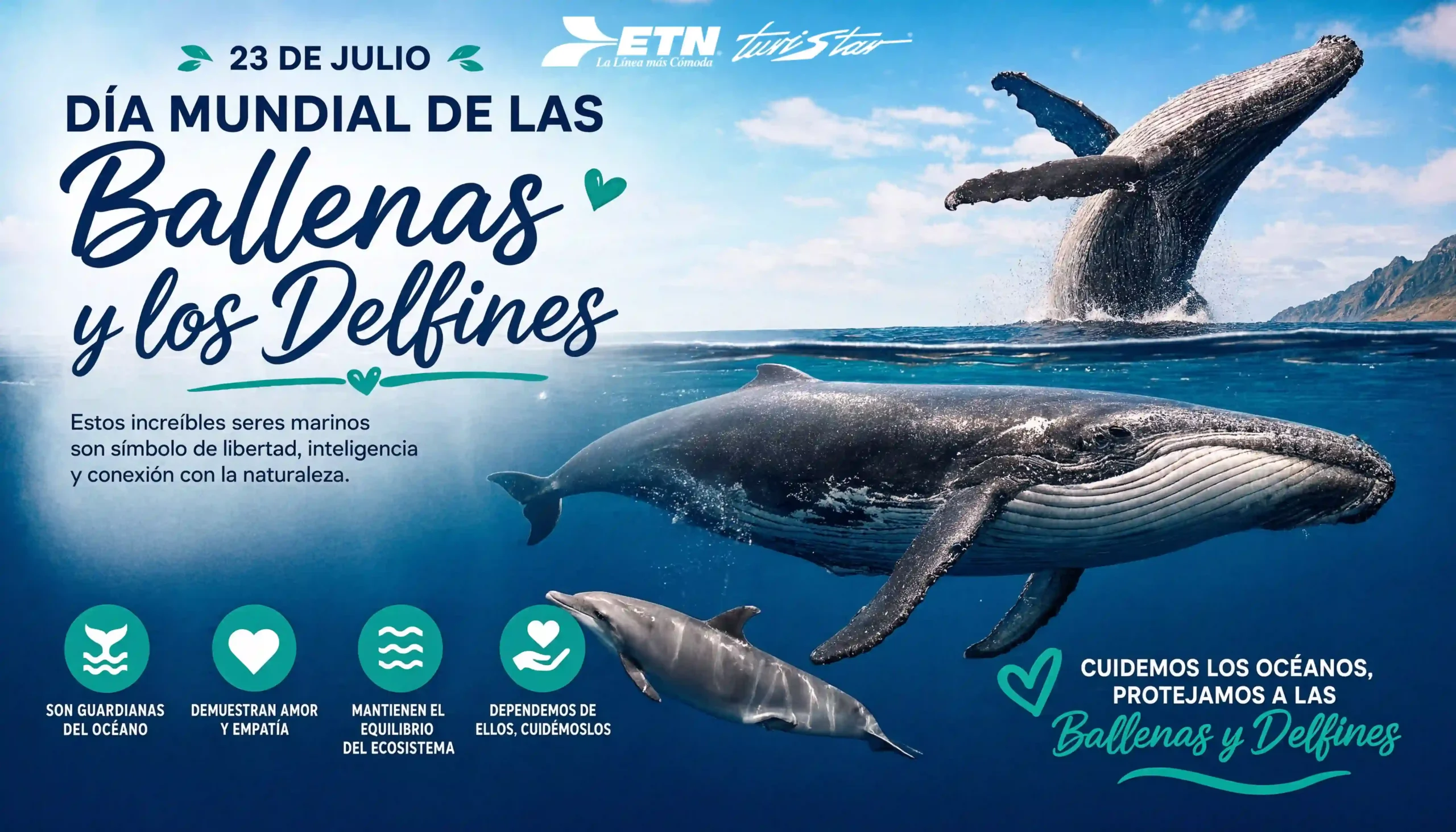 dia-mundial-ballenas-2026