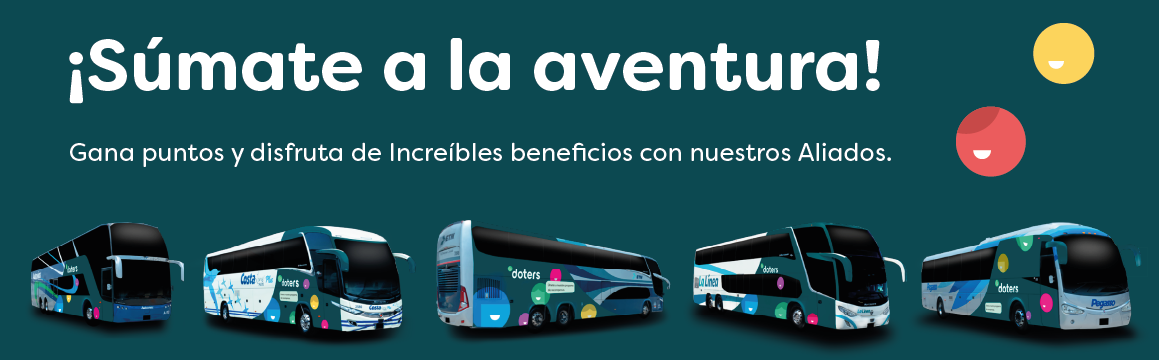 Banner autobuses