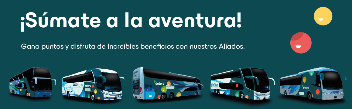 Banner autobuses
