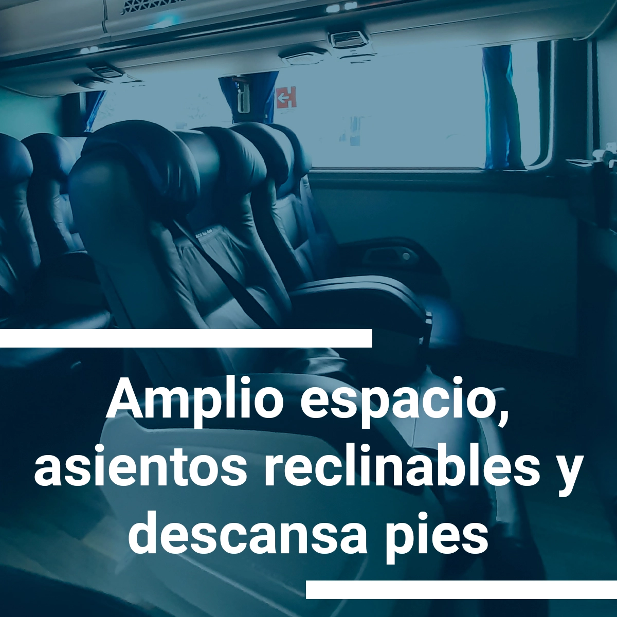 Renta de autobuses Renta de autobuses