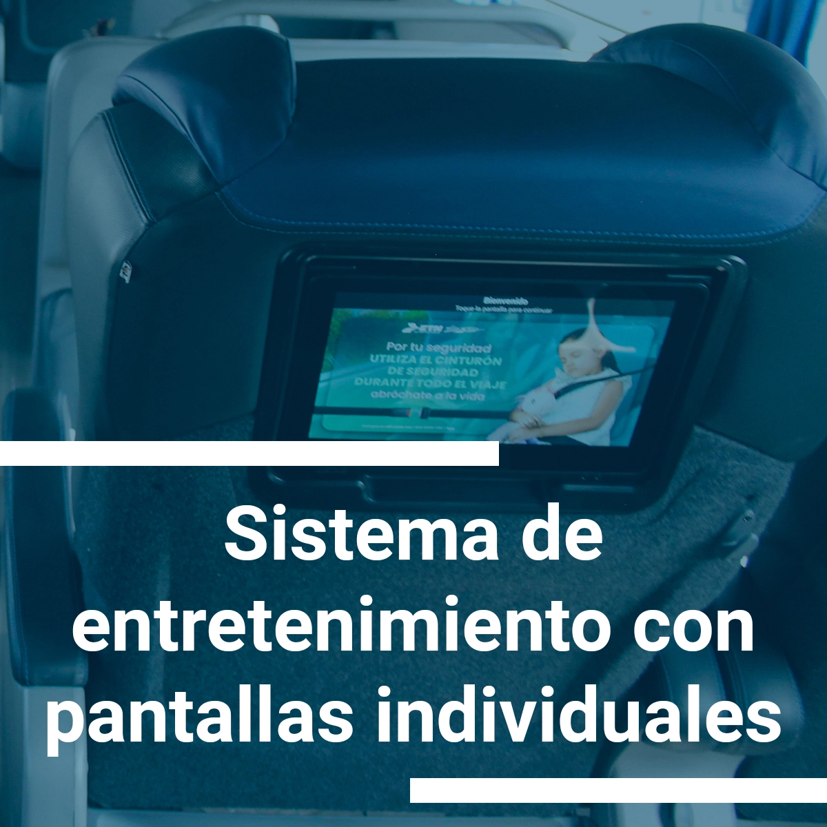 Viajero Protegido Viajero Protegido