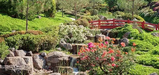 Compra tus Boletos de autobús en ETN Turistar Lujo y visita los Jardines florales más grandes del mundo Jrdines de México