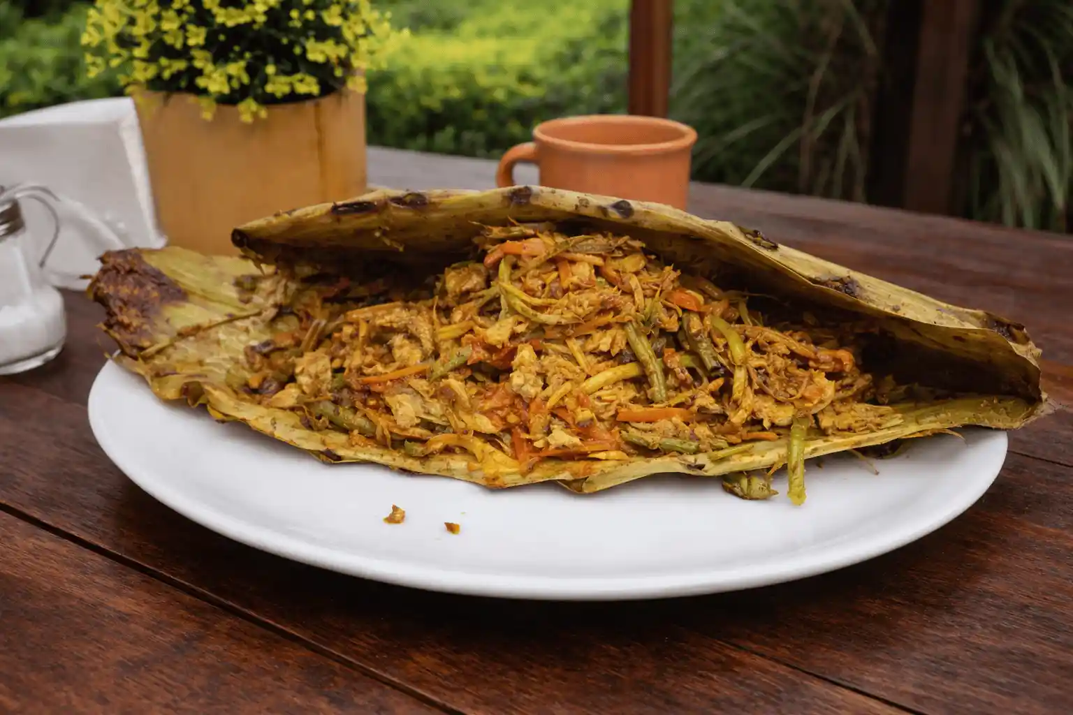 Penca de Nopal